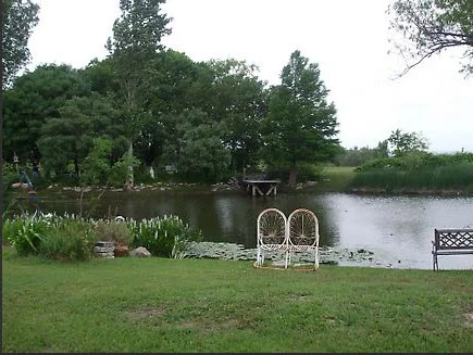 Water lilies, garden benches on pond edges