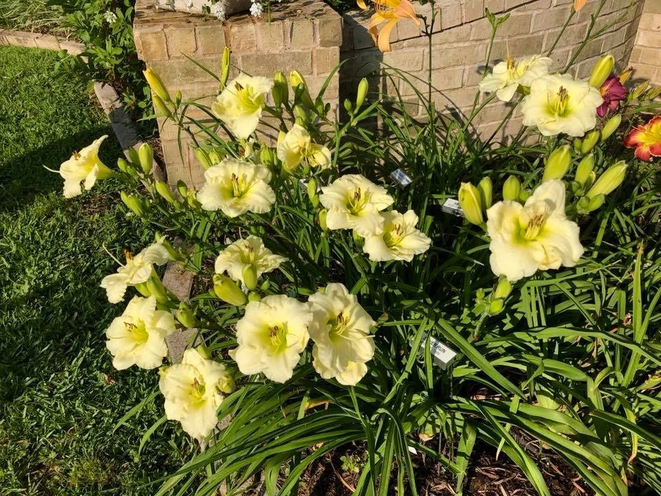 September: Region 6 Fall Symposium