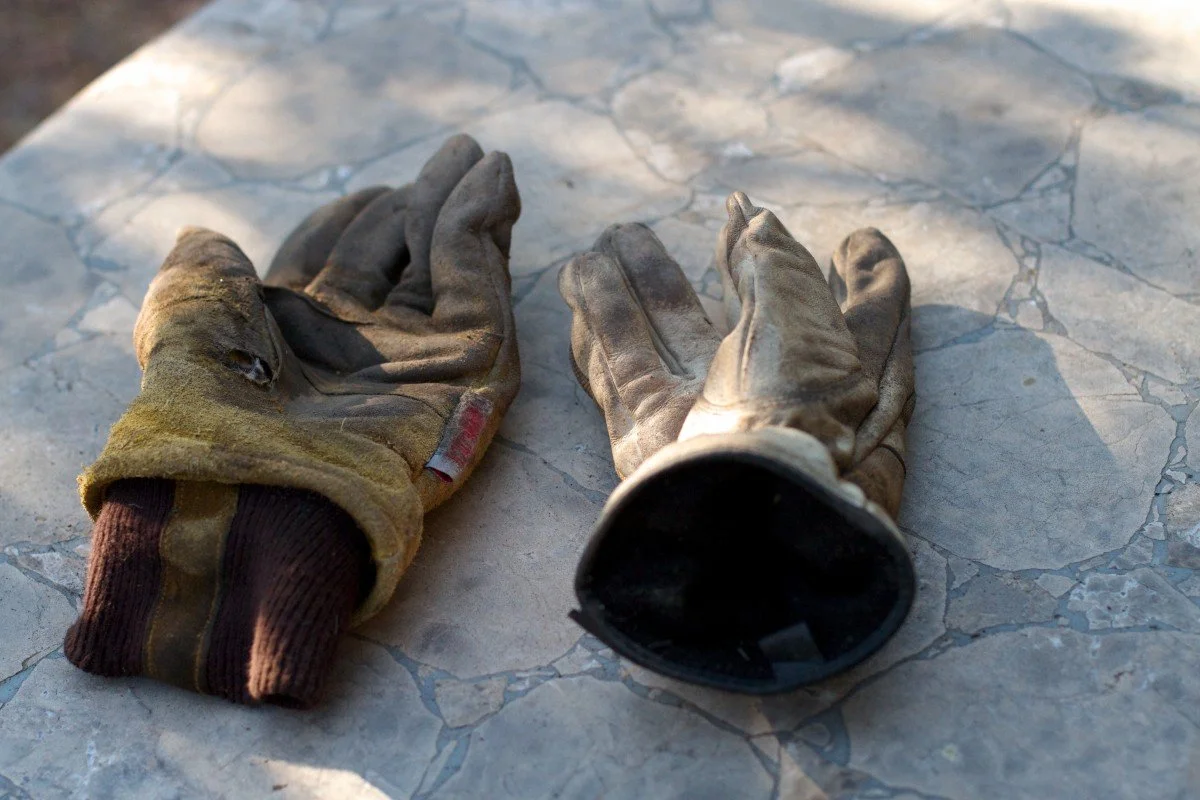 November: Election of Officers