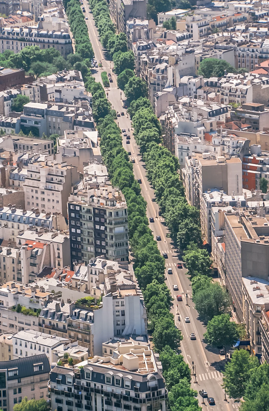 avenue1.jpg