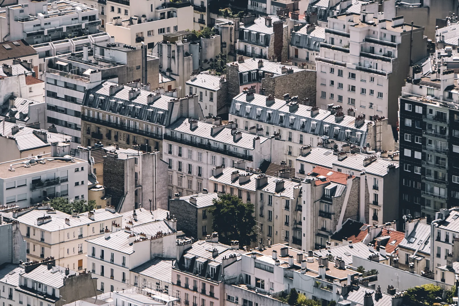 rooftops.jpg