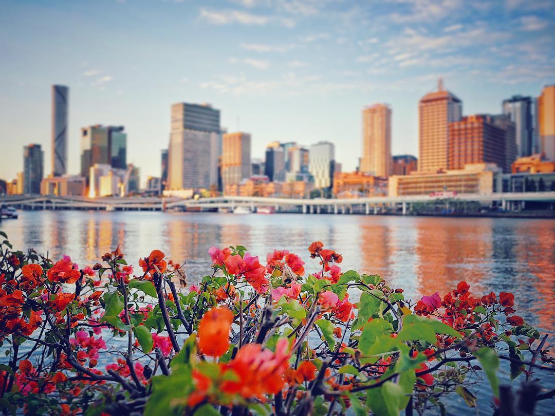That_s_my_town...__viewsofbrisbane__dusk__river__lumix__vision.jpg