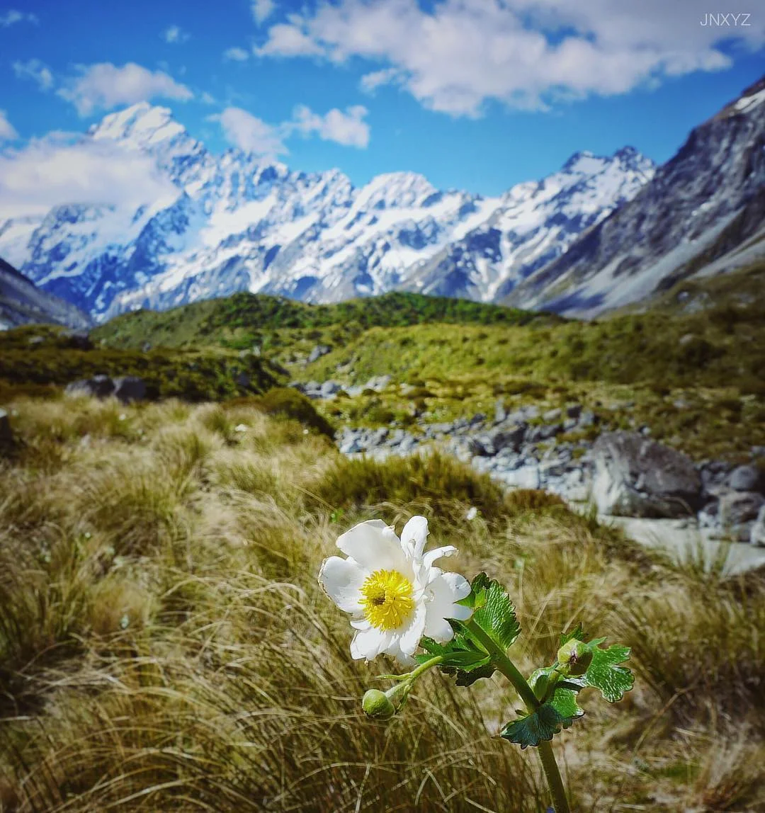 Aoraki__you_blew_me_away...__MtCook__Alpine__trekking__lumix__vision.jpg