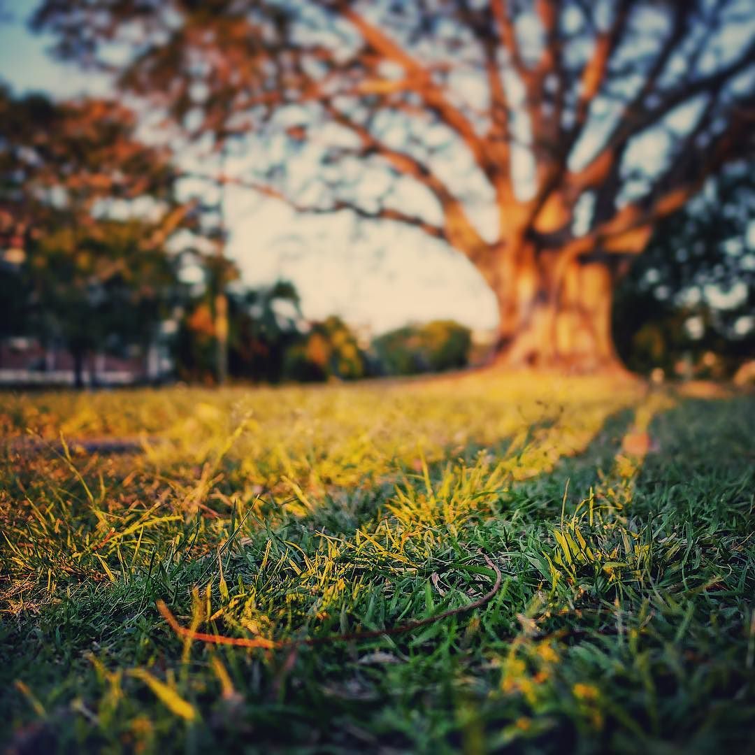Last_rays_of_a_winters_day..._._.__Viewsofbrisbane__shareyoursunset__lumix__vision.jpg