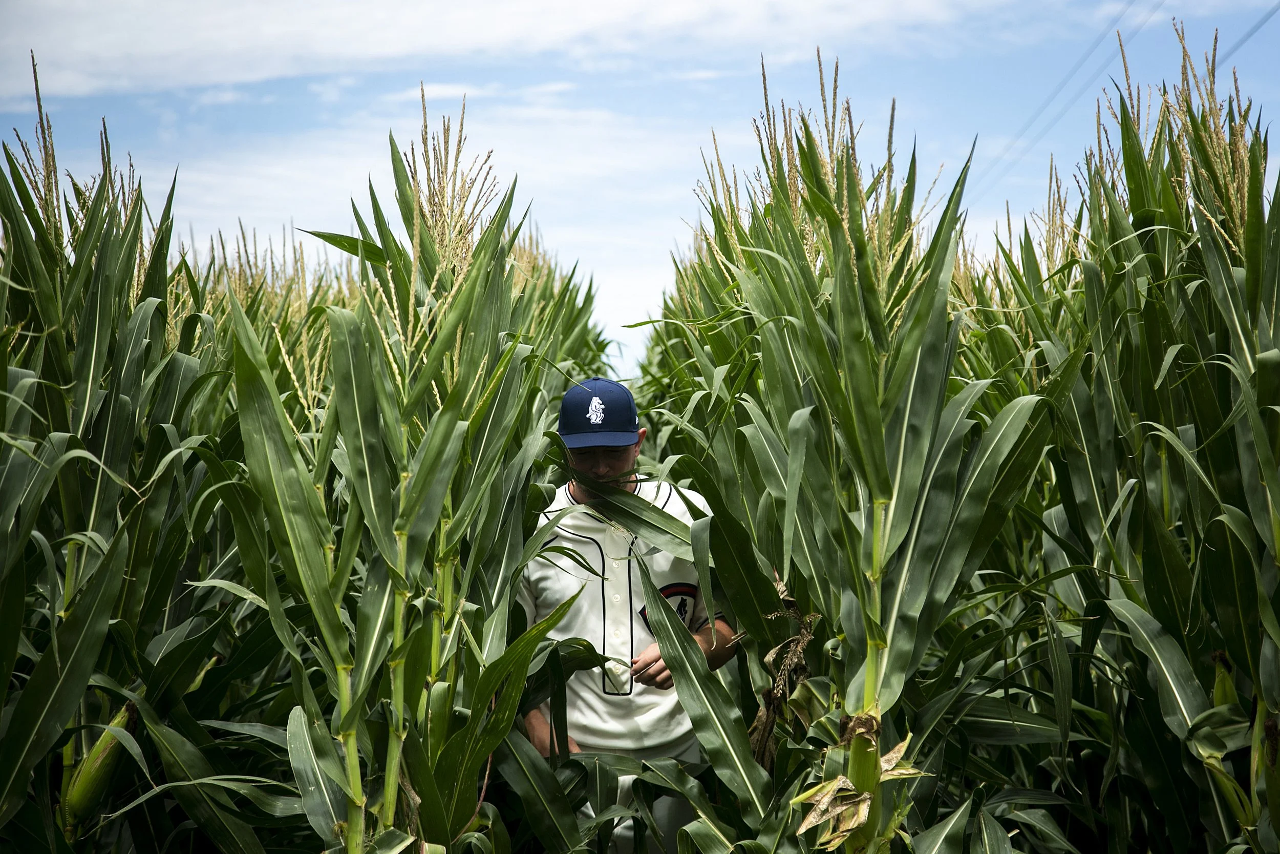  Chicago Cubs' Adrian Sampson walks out of the corn before a Major League Baseball game against the Cincinnati Reds, Thursday, Aug. 11, 2022, at the Field of Dreams in Dyersville, Iowa. 