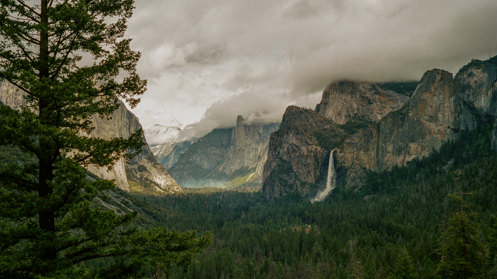 healingphotography_section_yosemity.jpg
