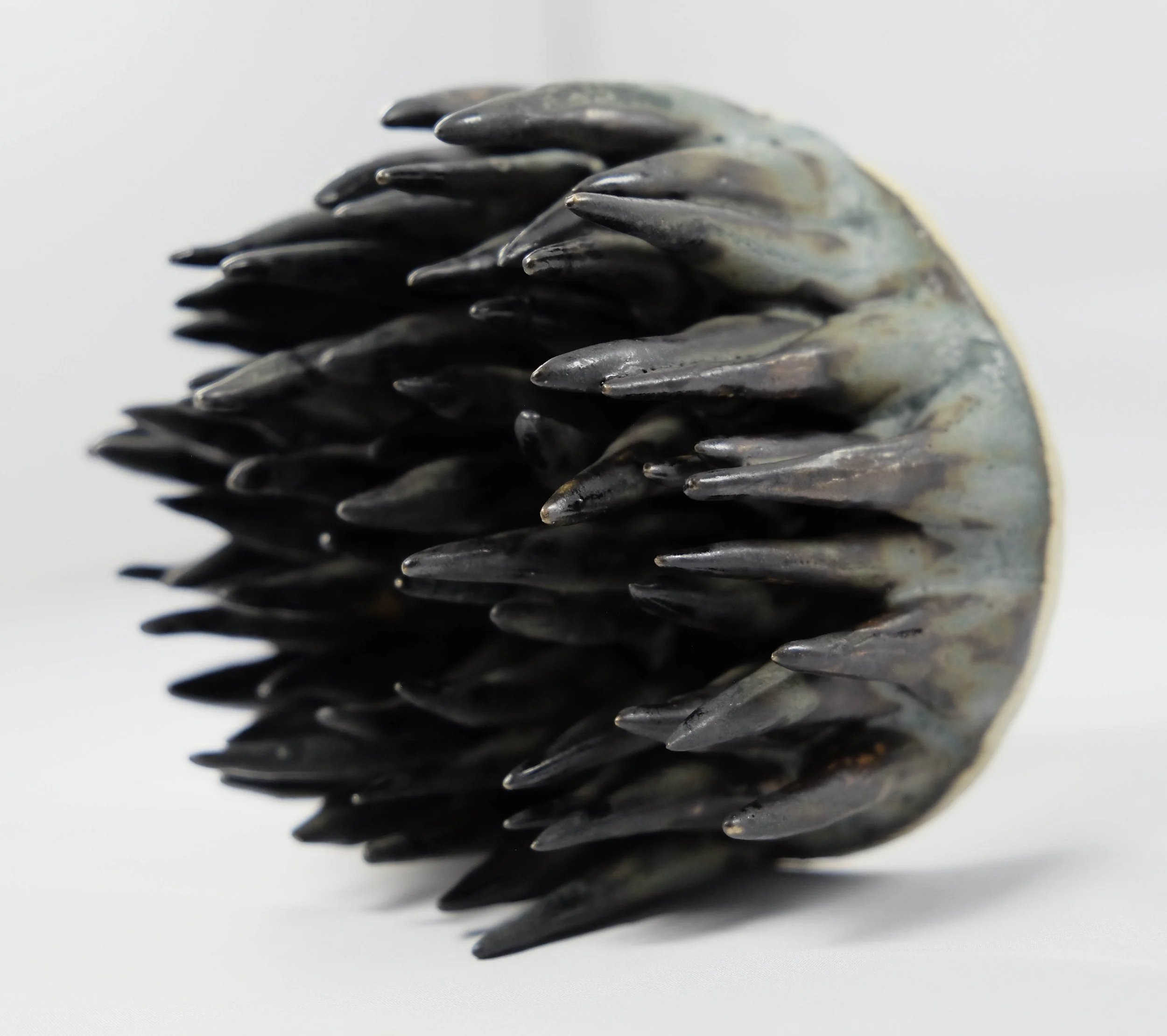 Anenome ||