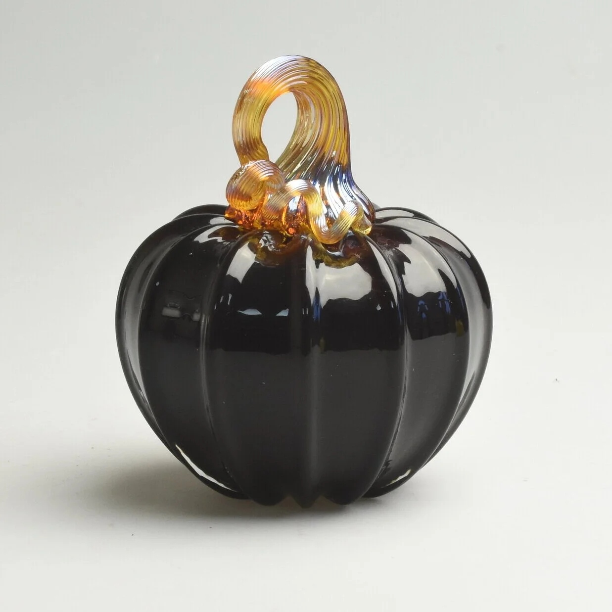 Brown-black Pumpkin with Iridescent Stem