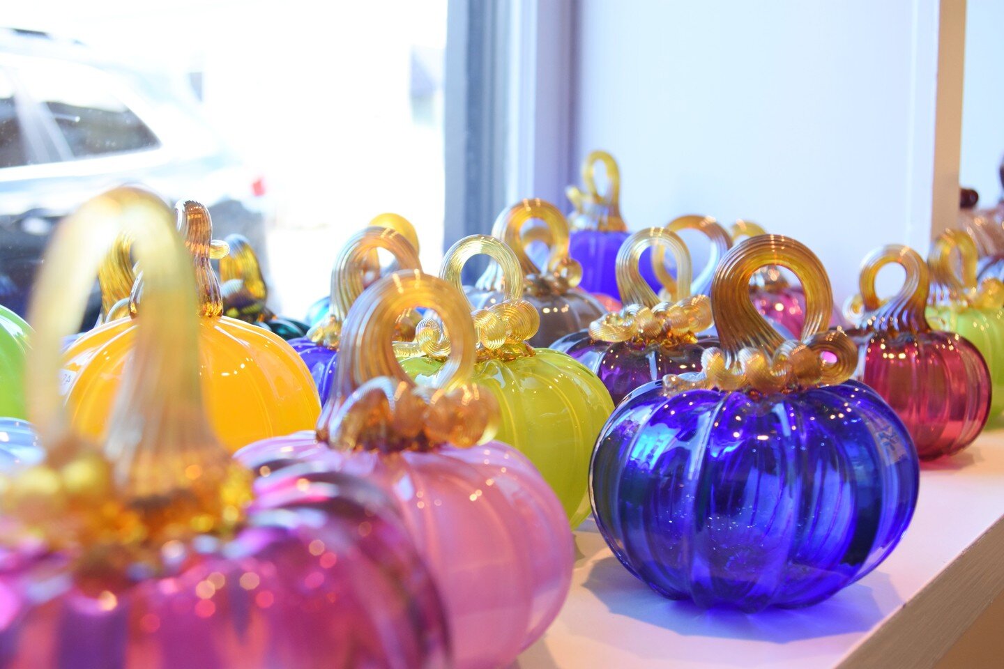 Pumpkins! Pumpkins! Pumpkins! So many to choose from you can't go wrong!