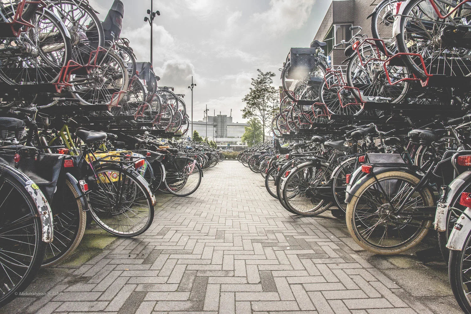 living bike