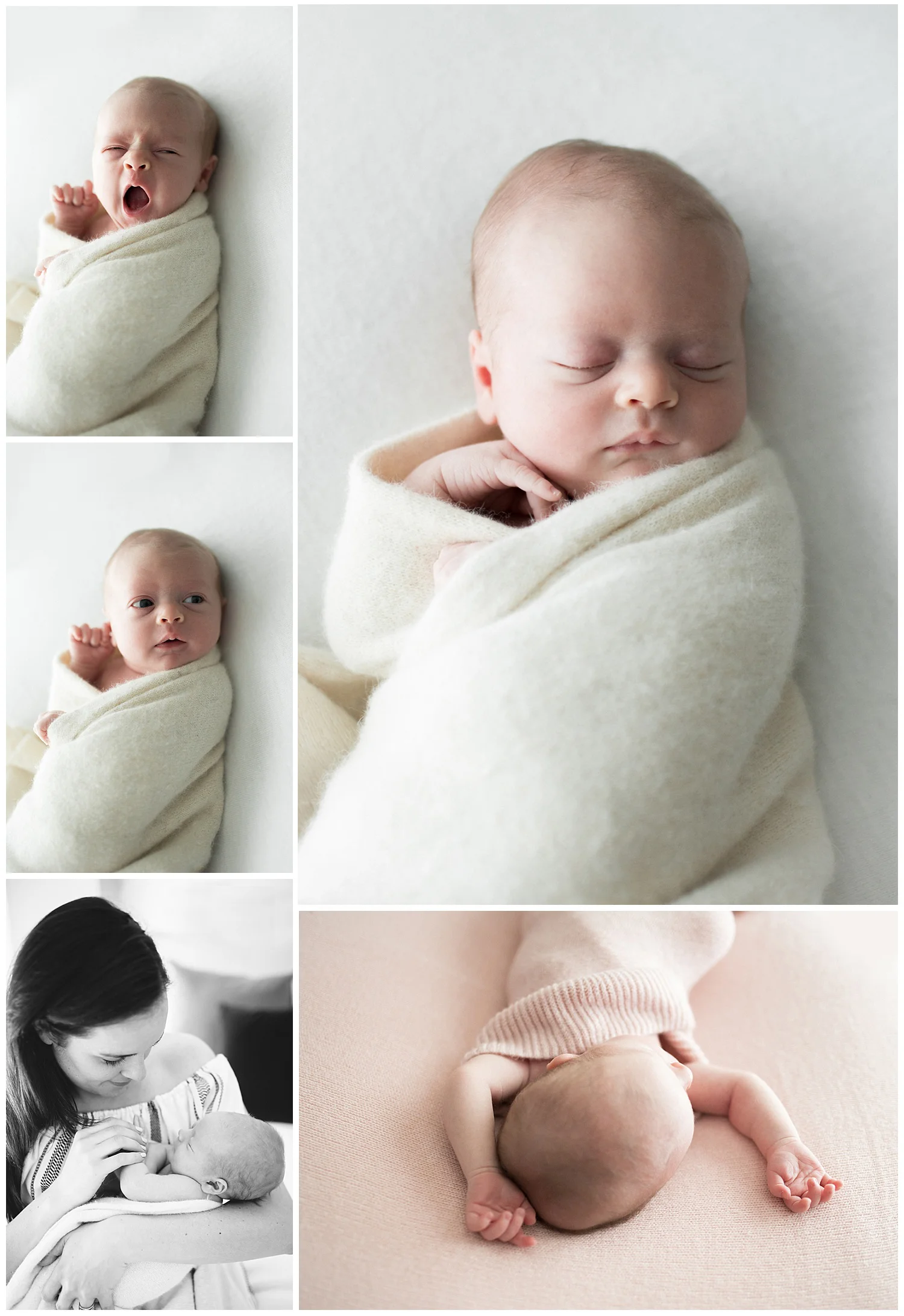 Melbourne newborn photographer eltham .jpg