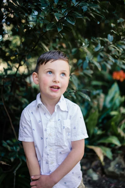 Preston family photographer brother boy backlight natural sunset melbourne candid summer r