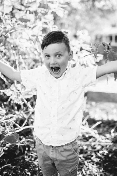 Northcote family photographer brother boy backlight natural sunset melbourne candid summer black and white