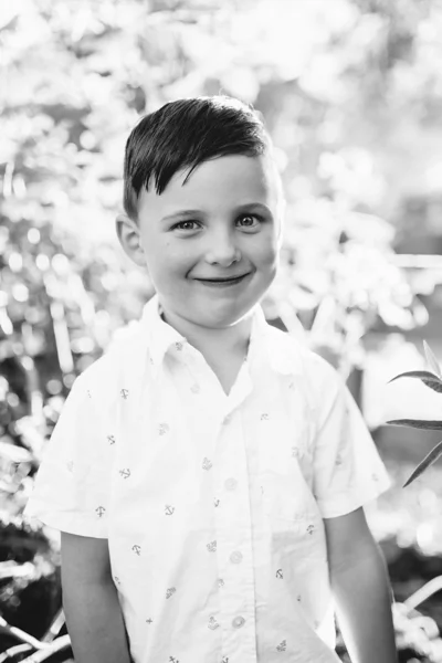 Balwyn north family photographer brother boy backlight natural sunset melbourne candid summer black and white