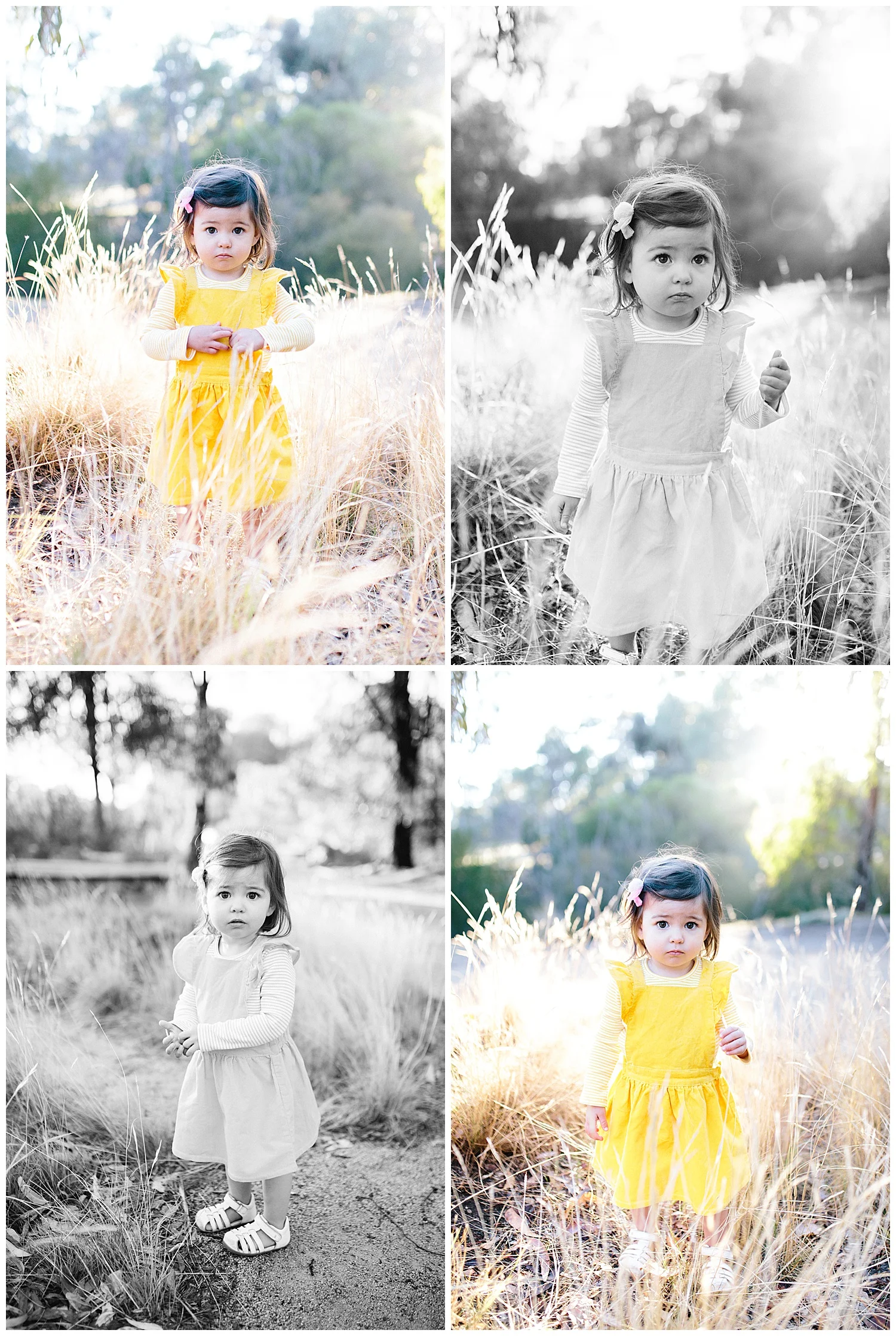 Doreen Family Photographer