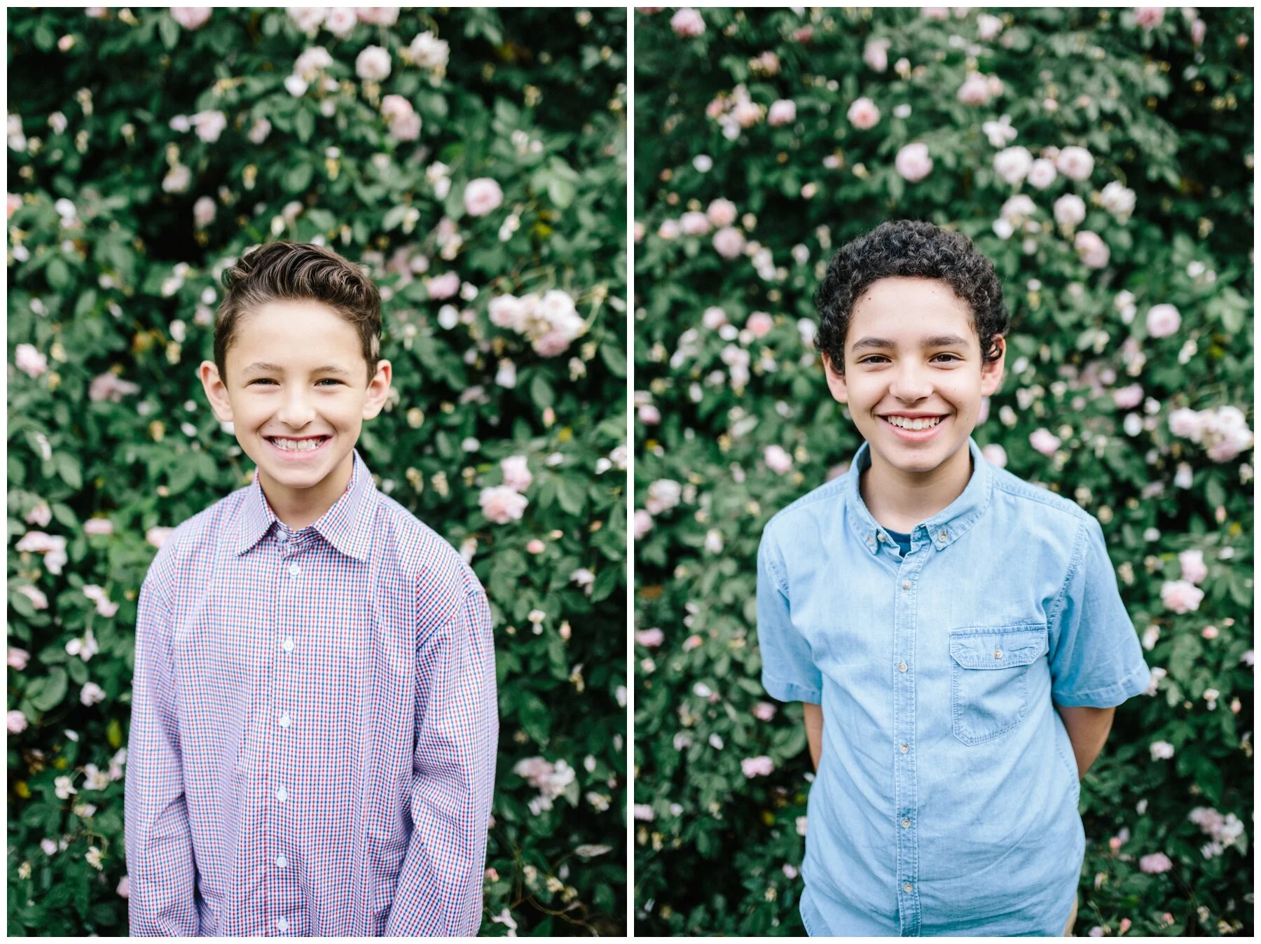 Hawthorn family photographer photos four children siblings rose garden pretty girl photographer brothers boys