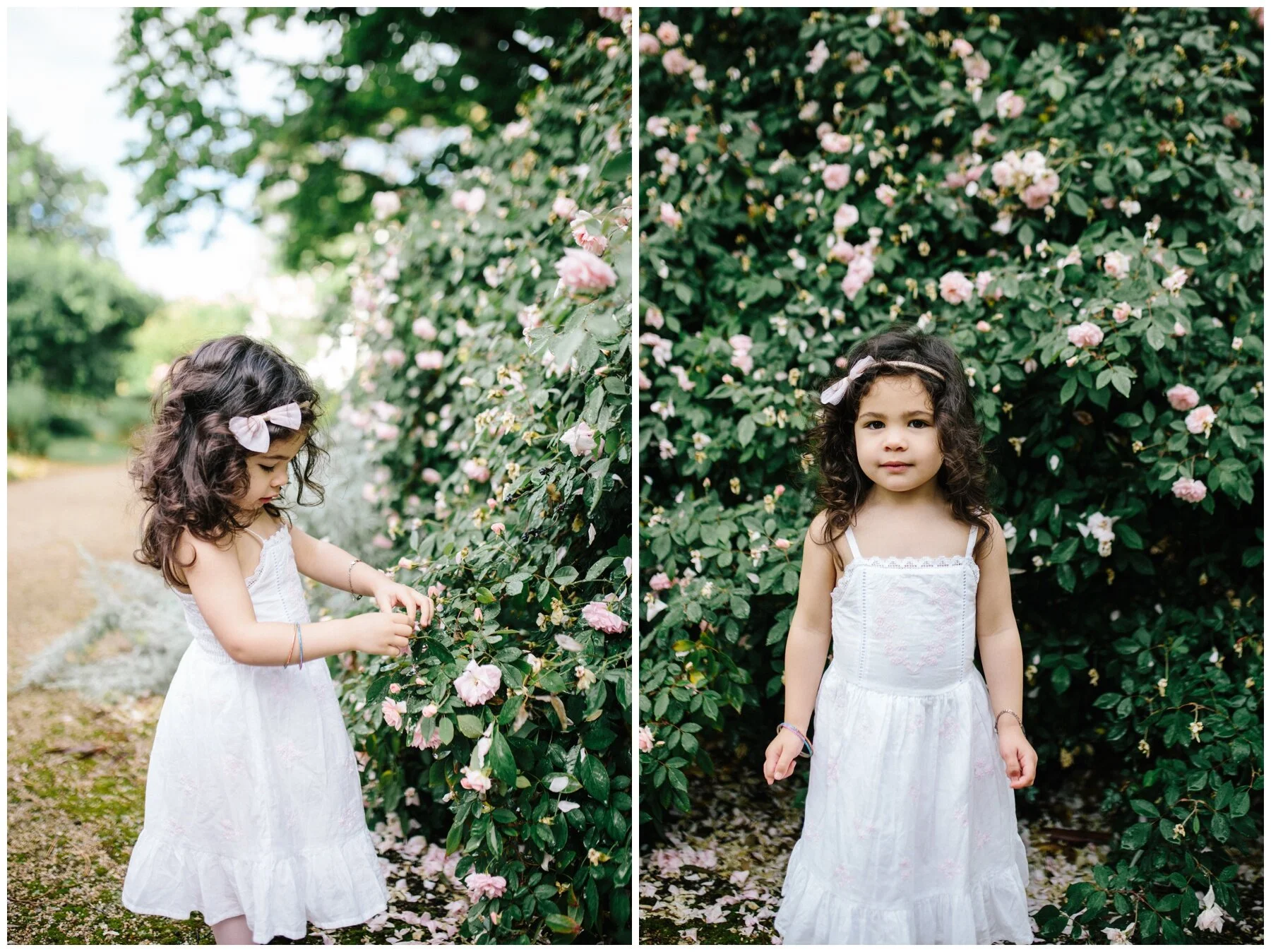 Canterbury family photographer photos four children siblings rose garden little girl spring