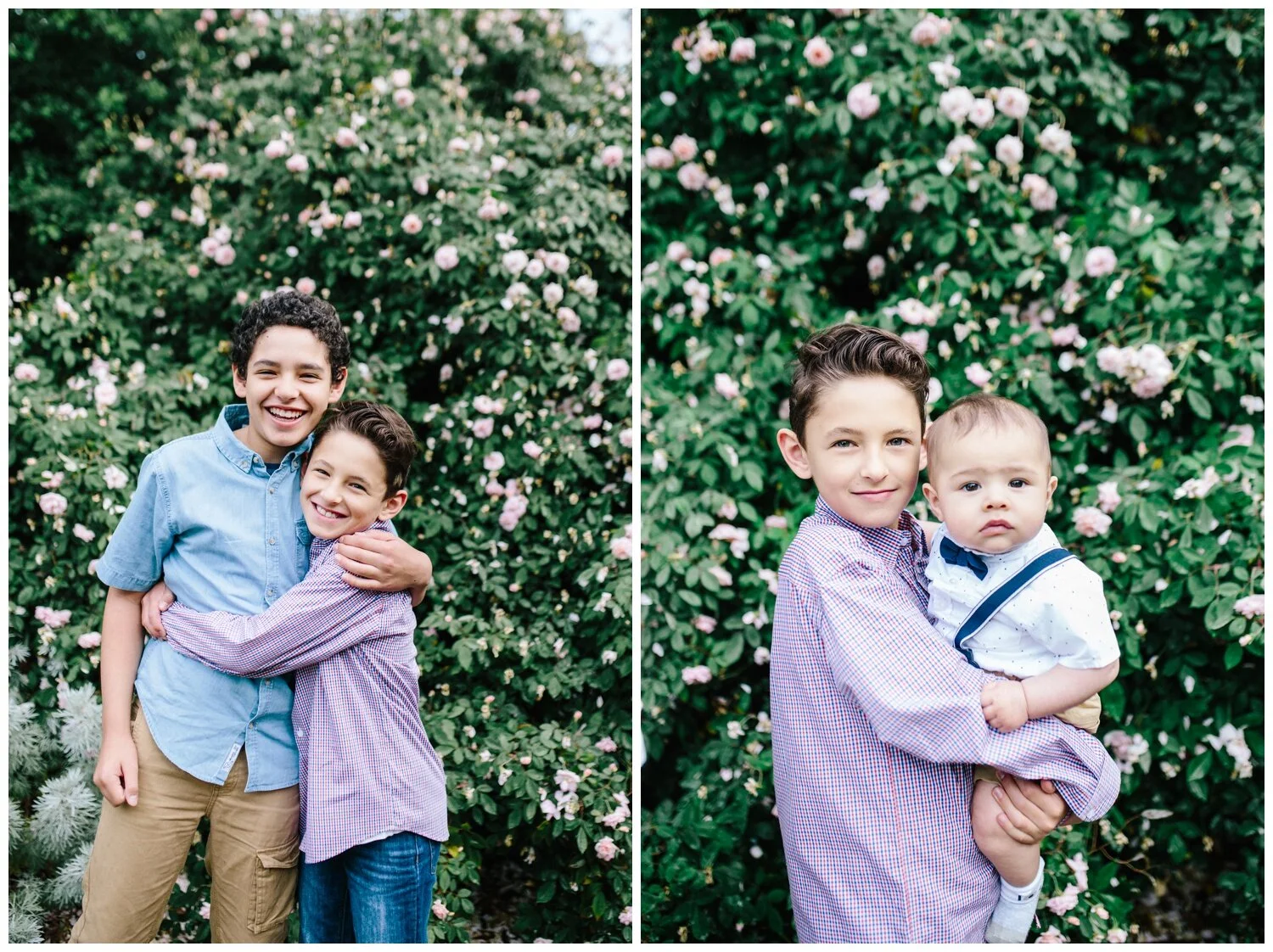 Hawthorn family photographer photos four children siblings rose garden pretty girl photographer brothers boys