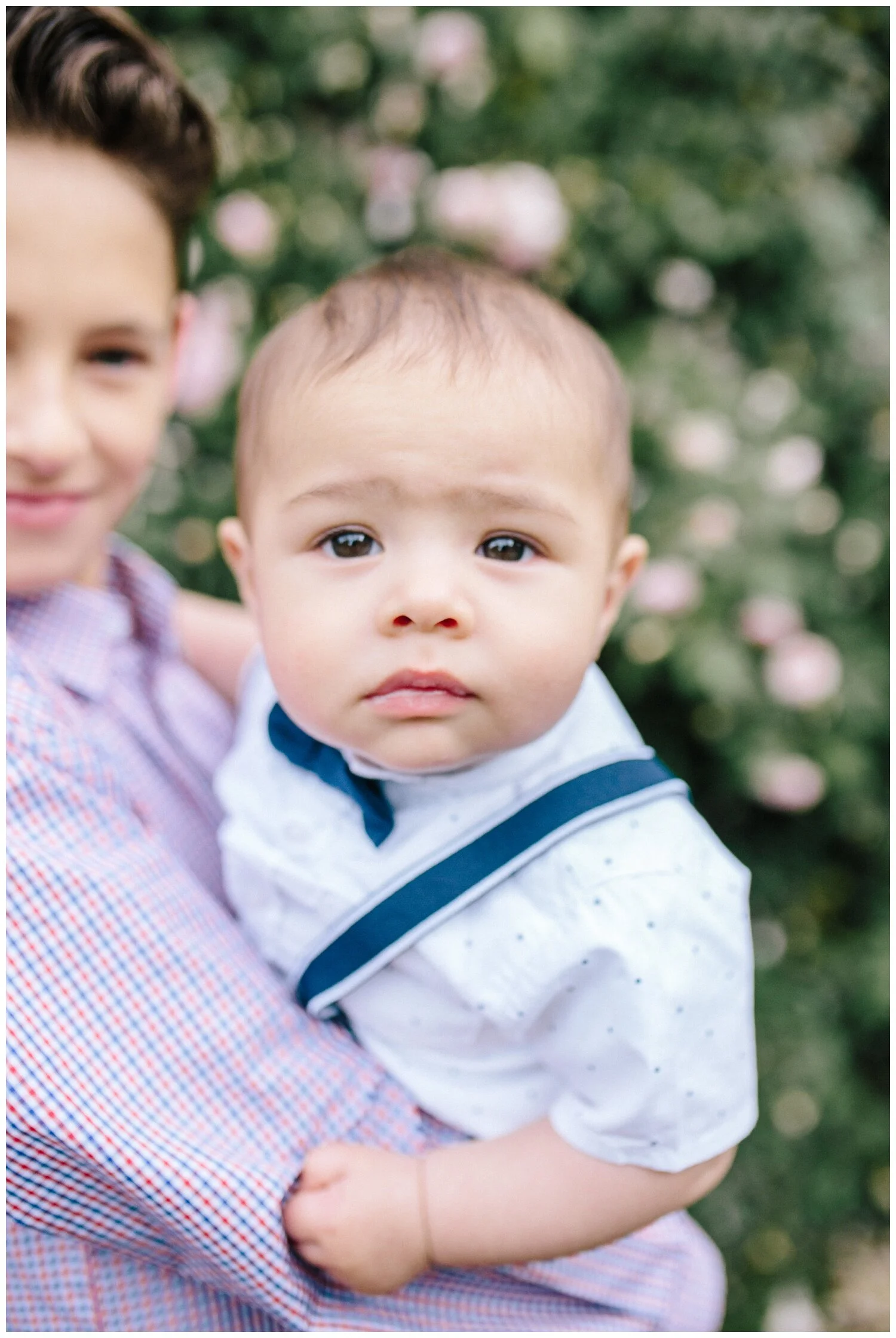Warrandyte family newborn toddler photographer photos four children siblings rose garden photography brothers boys
