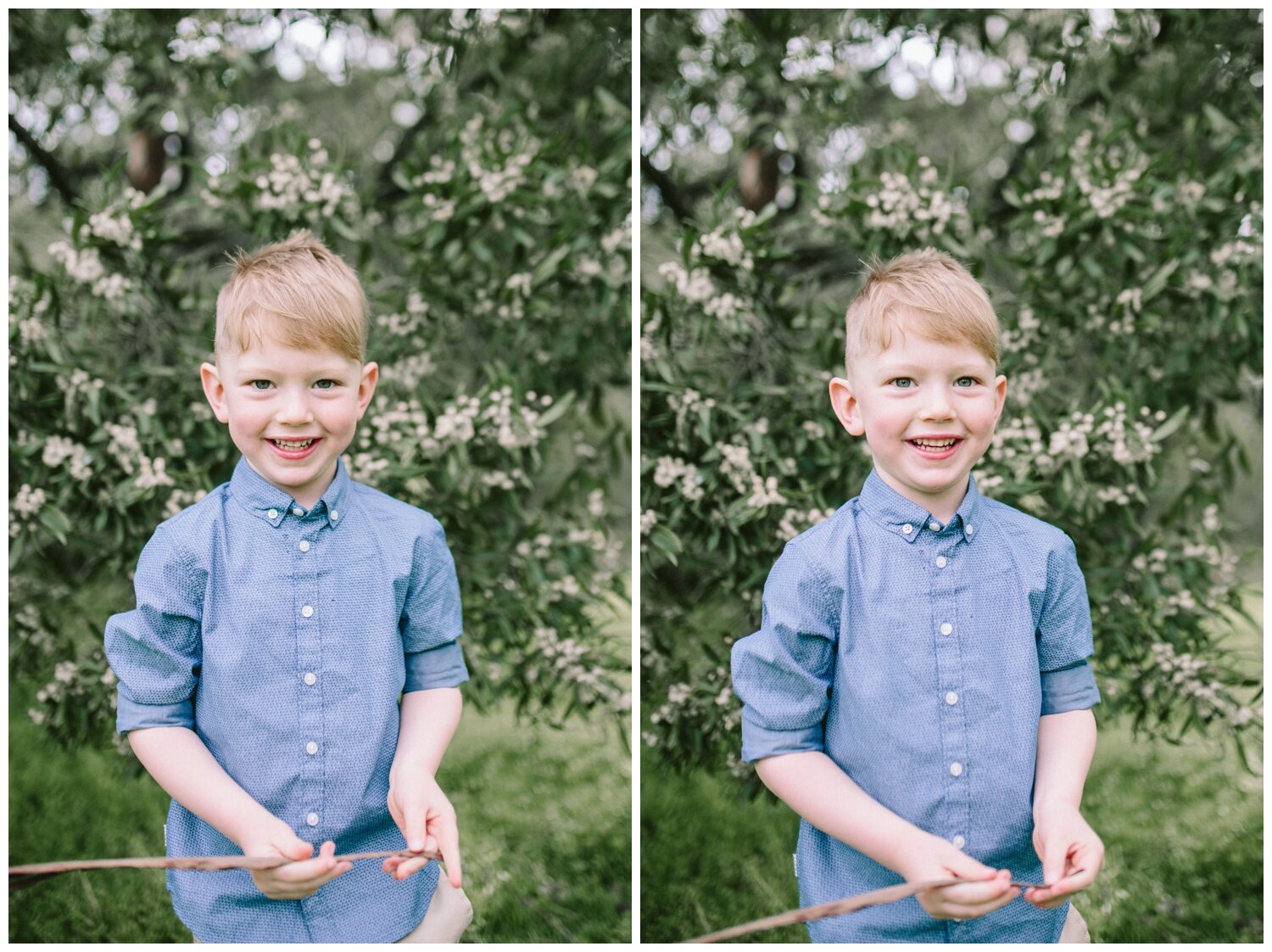 Montmorency Family Photographer. Outdoor Photography session. Sunrise. Spring. Garden photography. Candid. Natural light.