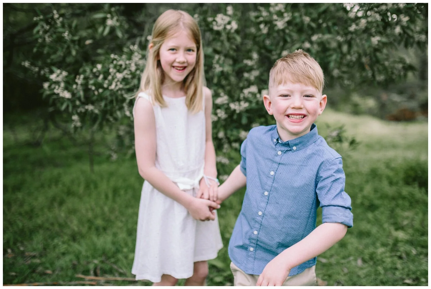 Eltham South Family Photographer. Outdoor Photography session. Sunrise. Spring. Garden photography. Candid. Natural light. 