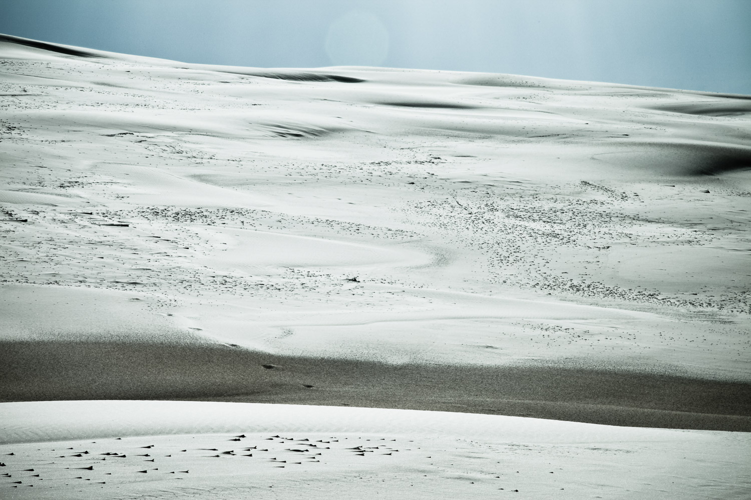 Francesco_Solfrini_Photography_documentary-6285.jpg