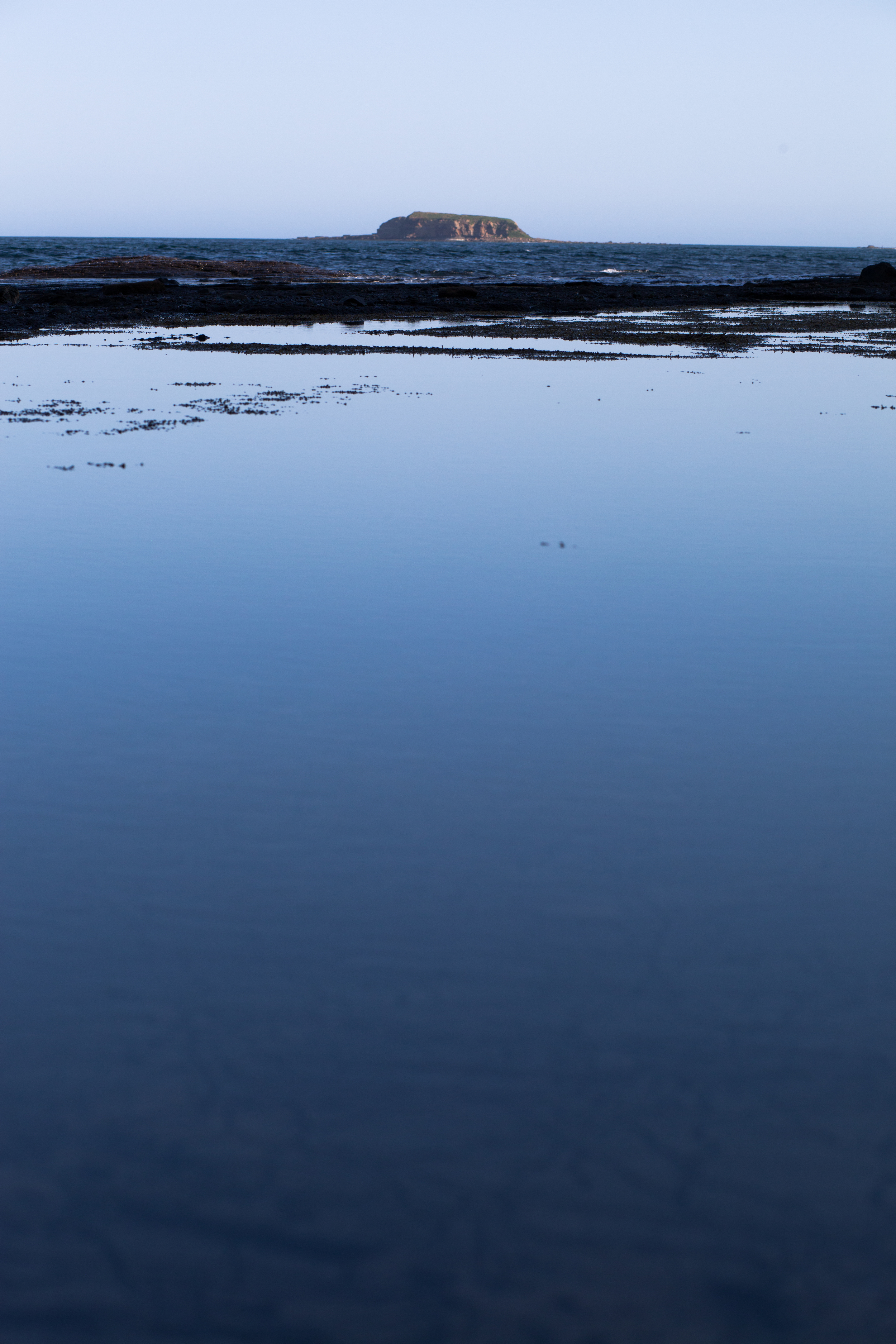 Francesco_Solfrini_Photography-2584.jpg