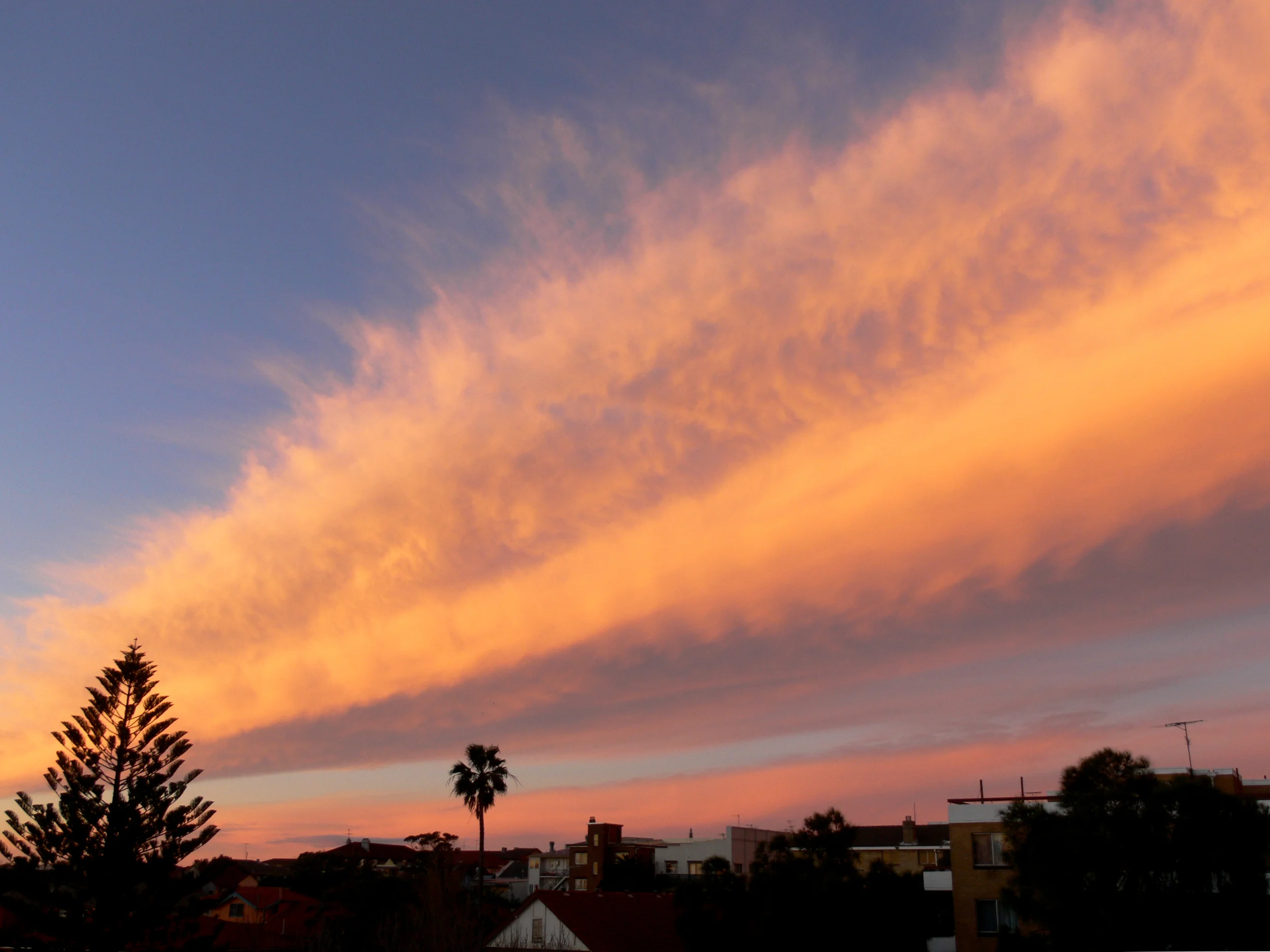 Francesco_Solfrini_Photography-1050546.jpg