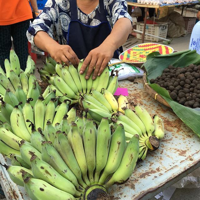 Beautiful bananas in the local market in Chiang Mai.