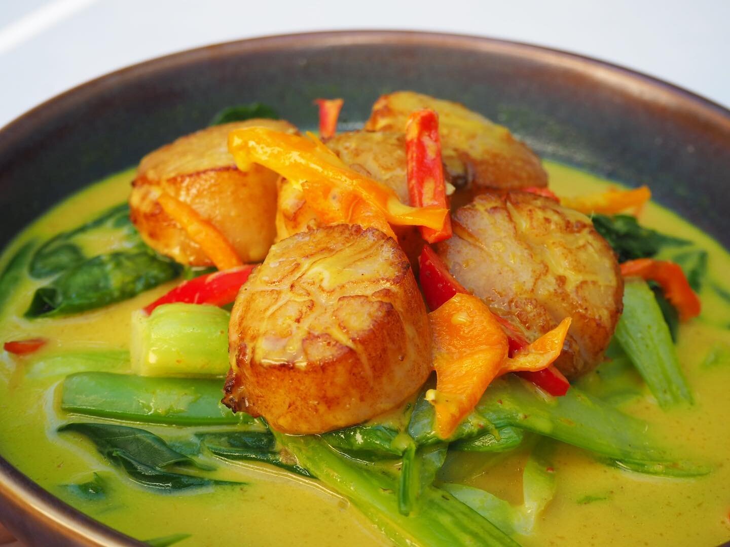 Pan-seared Japanese scallops in coconut curry 🍽