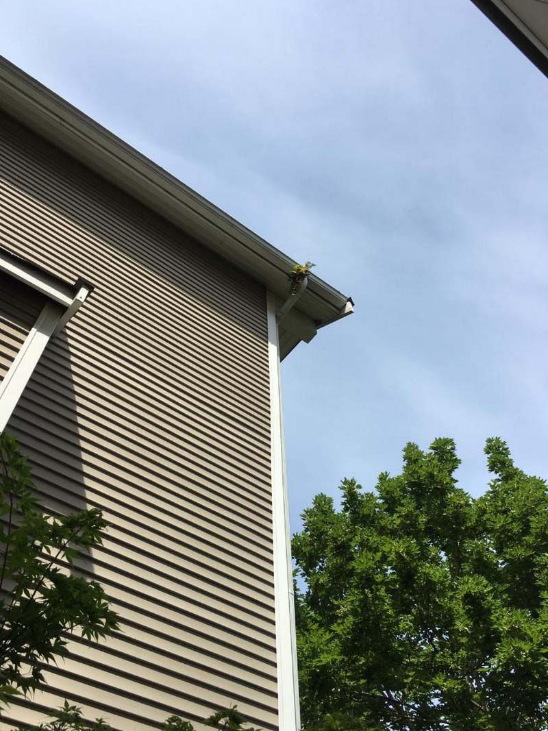 Gutter-Cleaners-Capitol-Hill-WA.jpg