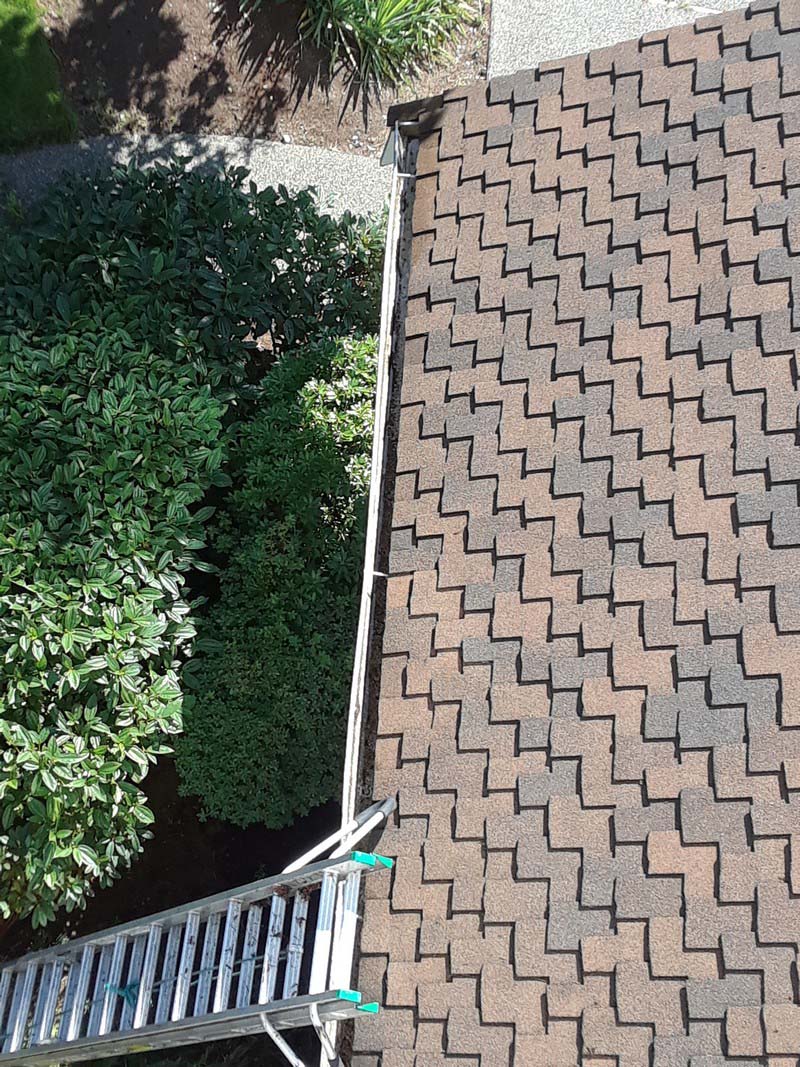 Gutter-Clearing-Kirkland-WA.jpg