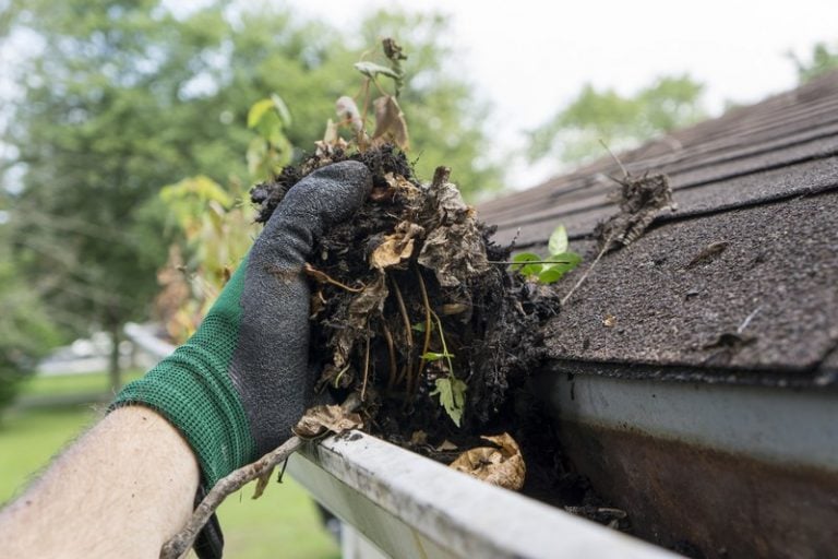 Gutter-Clearing-Phinney-Ridge-WA.jpg