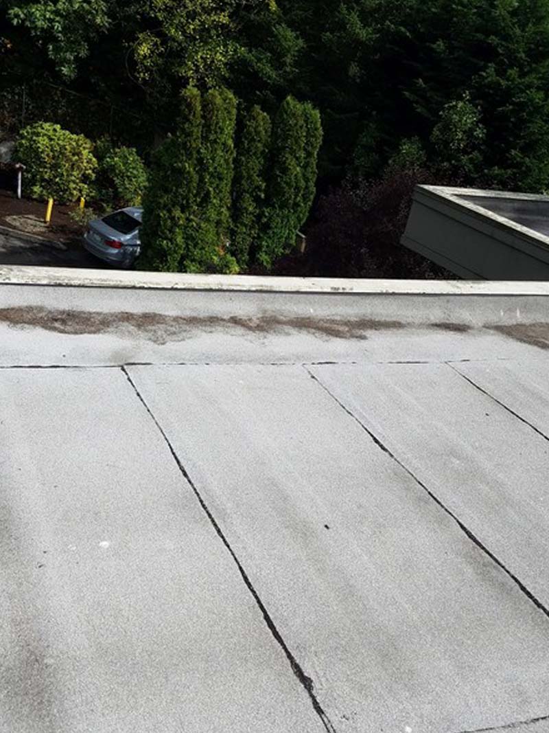 Gutter-Cleaners-Redmond-WA.jpg