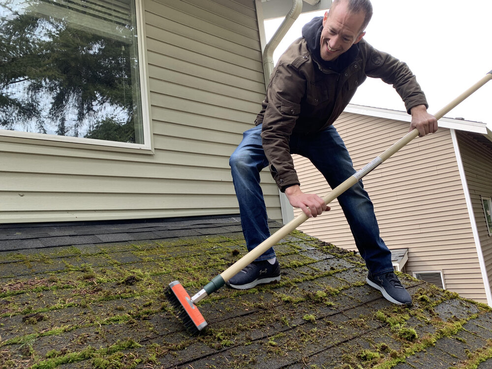 Roof Moss Removal in Ballard WA