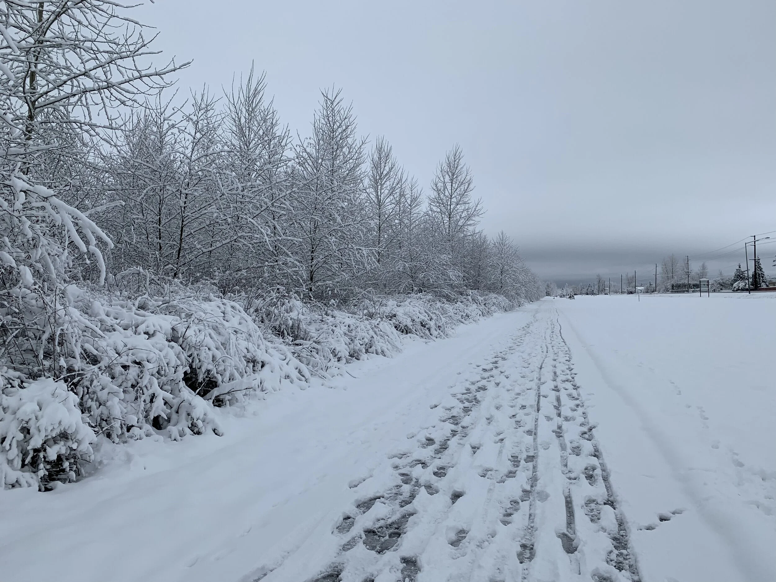 Sno Plow Campaign.jpeg