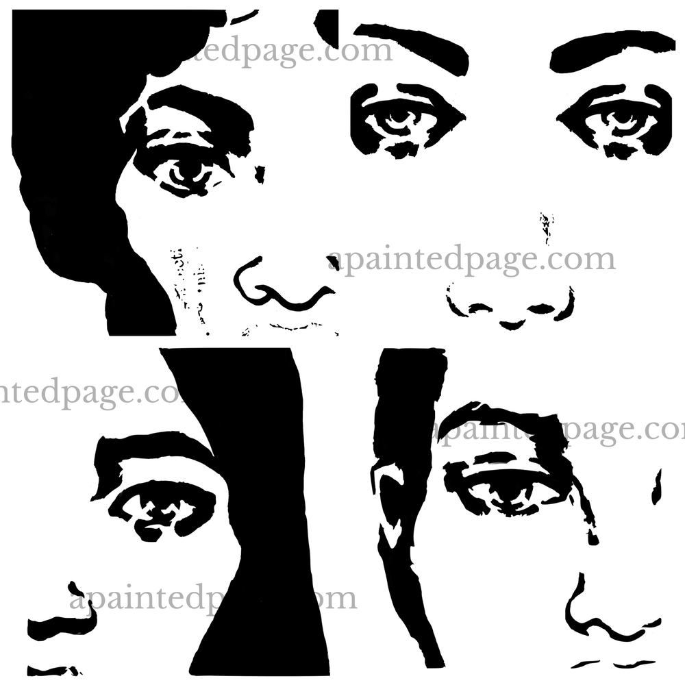 Face Fragments