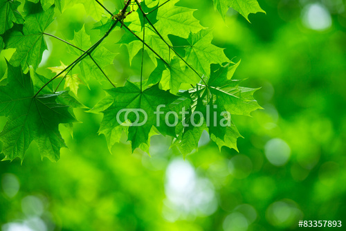 fotolia_83357893.jpg