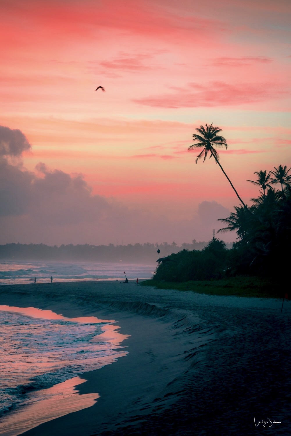 sri lanka-16.jpeg