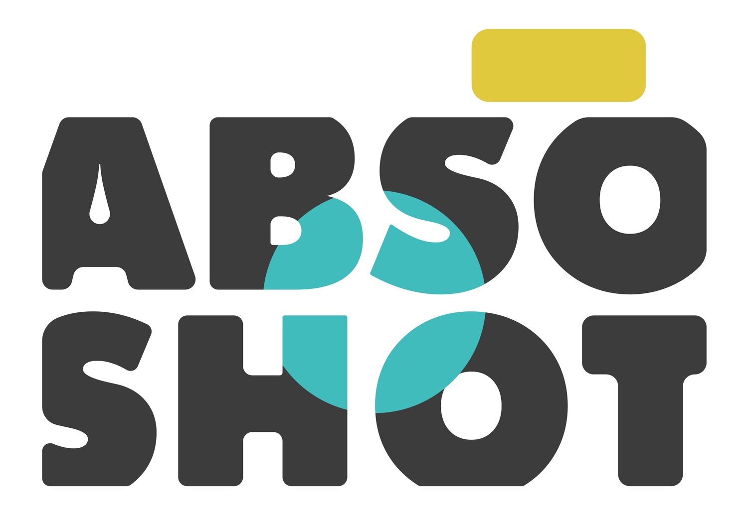 Absolute Shot Photography