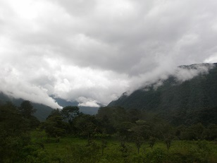 Tropical Rainforest
Normal
0
(photo by Ryan Chenery)