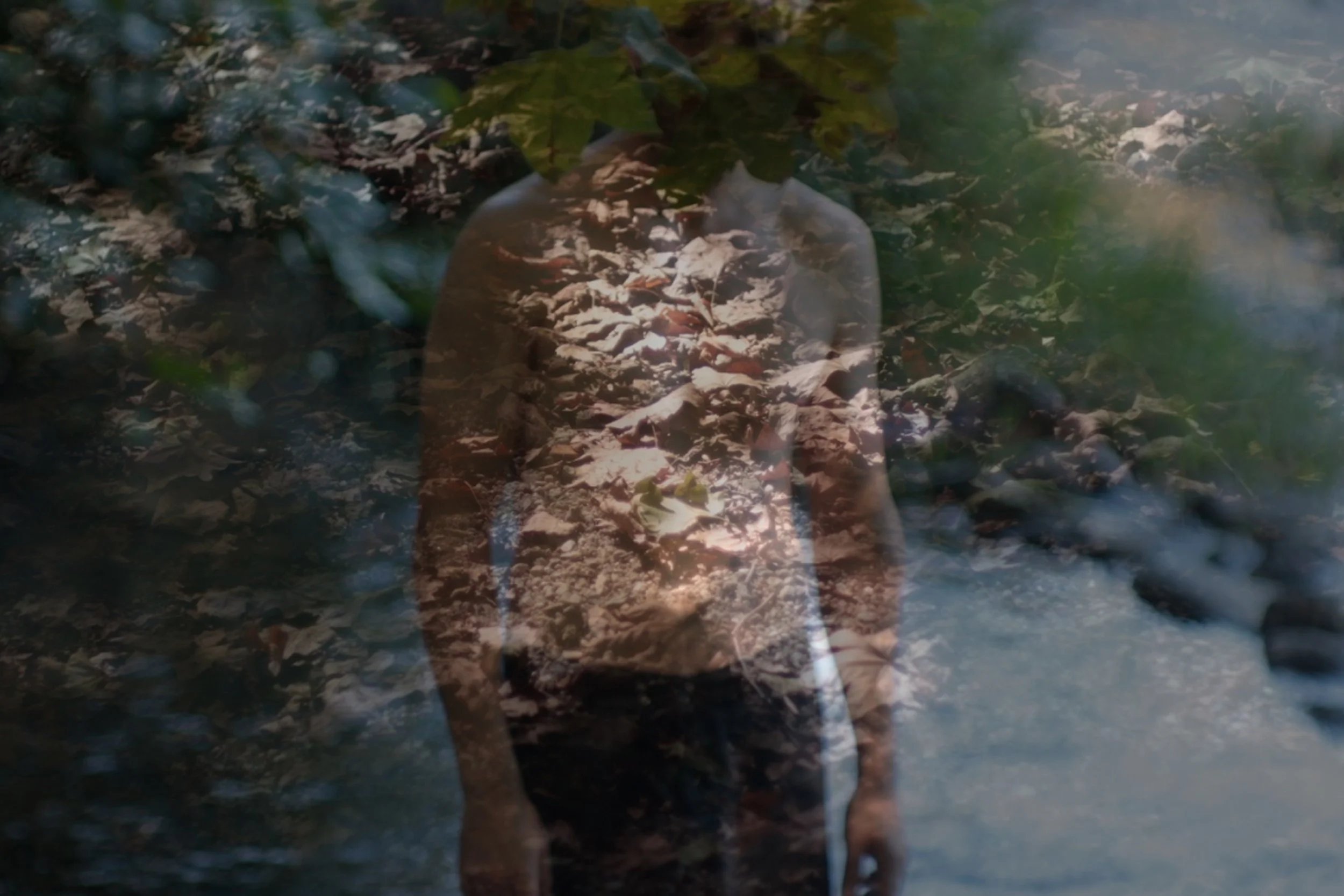 untitled folder3.jpg