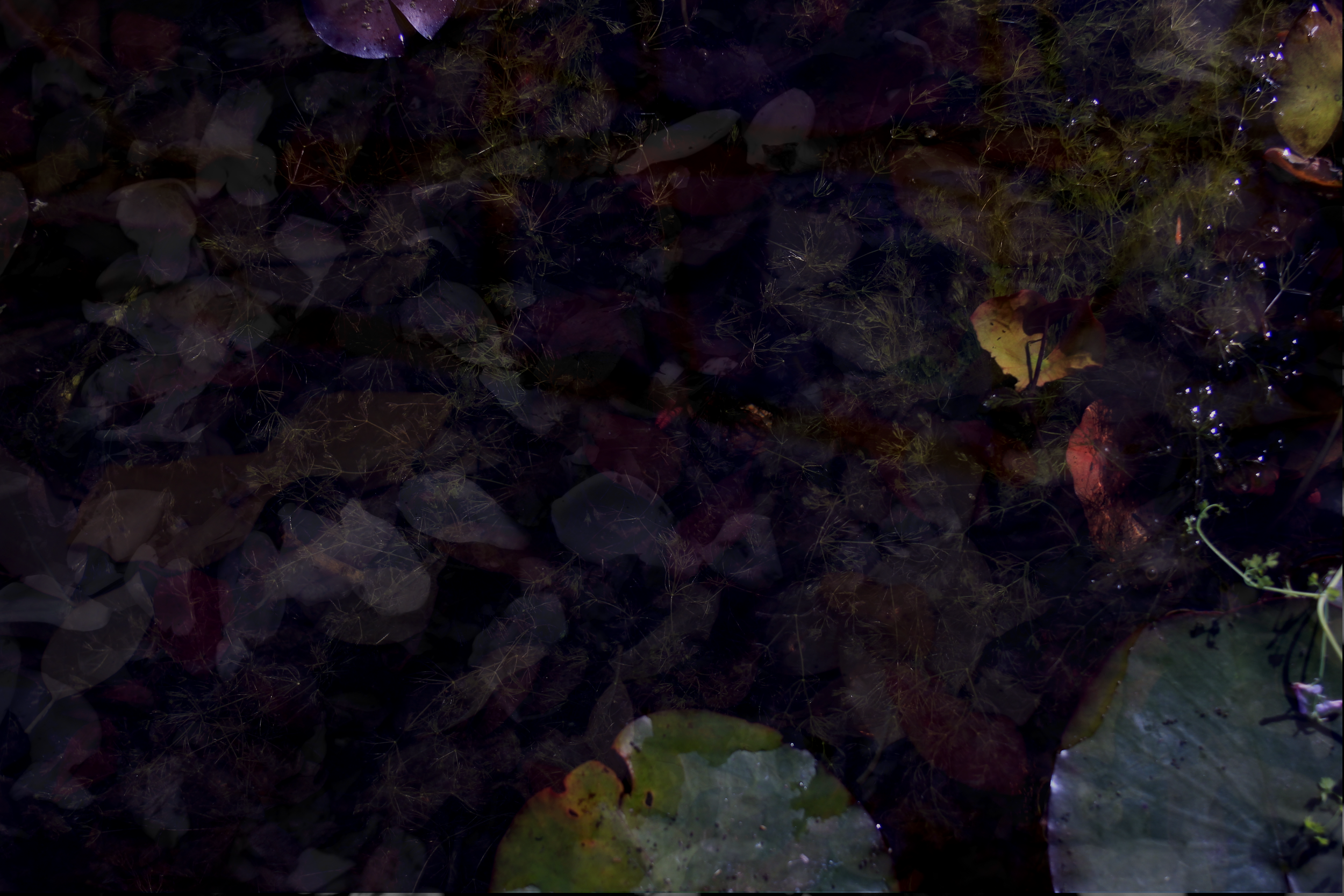 b3.png
