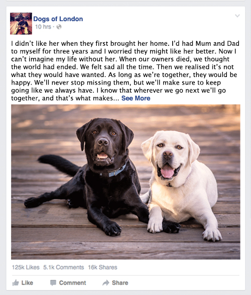 Dogs of London.jpg