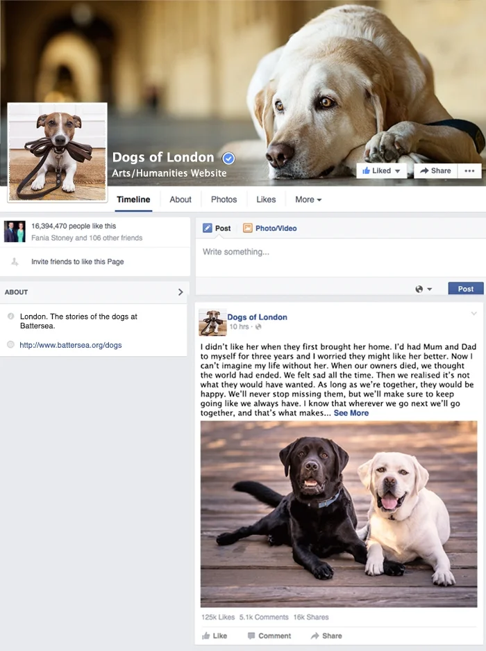 Dogs Facebook.jpg