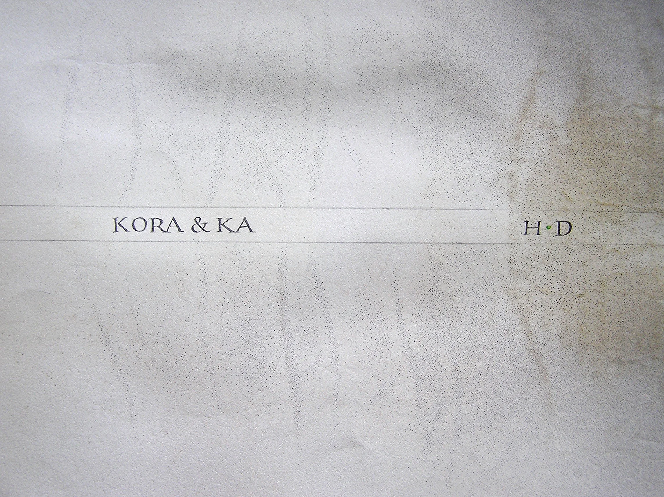 Lettering on vellum to be used as a book covering. The markings of the hair follicles in the skin form a decoration.