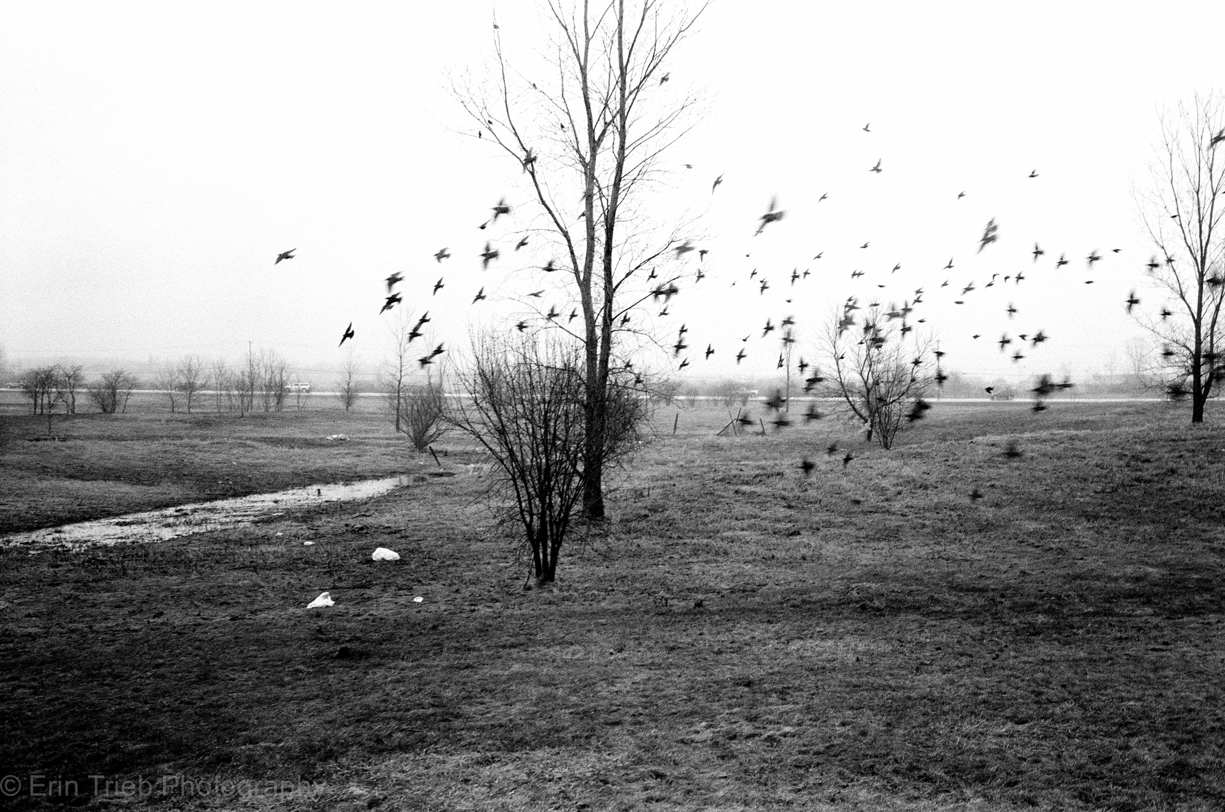 Thaw, earl spring, Watertown, New York