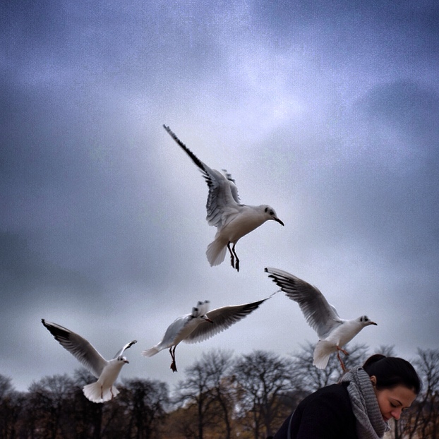 © Kerry Payne Stailey