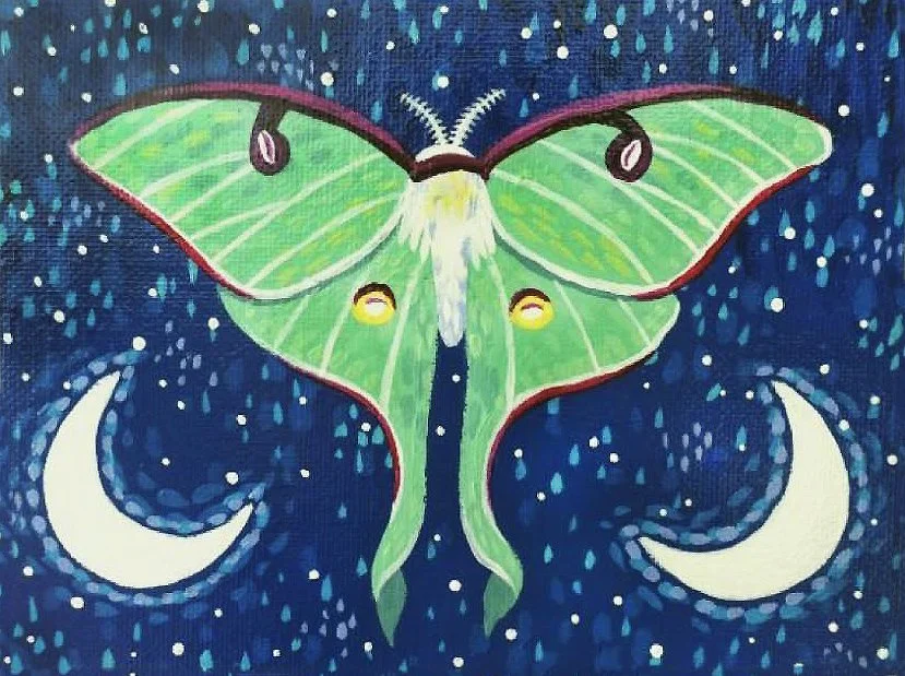 Lunar Moth.jpeg