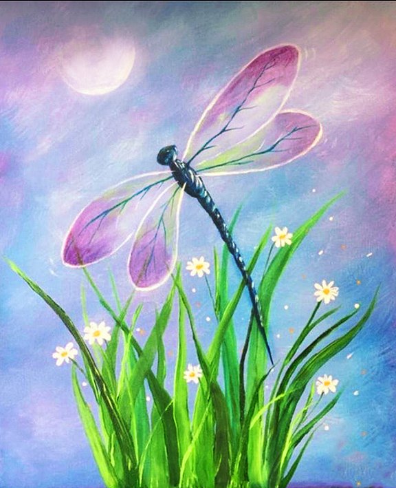 daisy dragonfly.jpeg